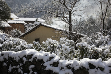 浦城雪景