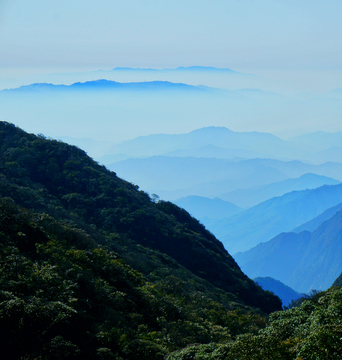 高山云雾