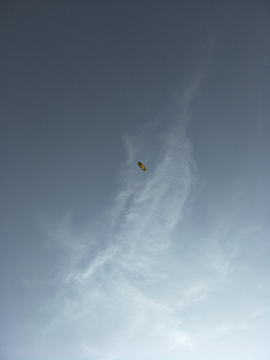 动力伞运动体育