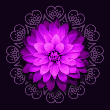 印花圖案