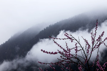 水墨桃花