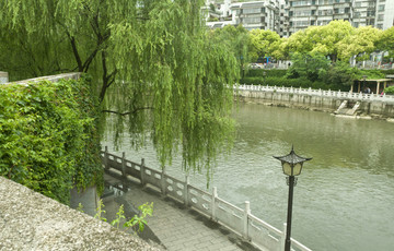 河岸风景