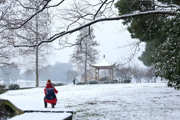 梅园雪景