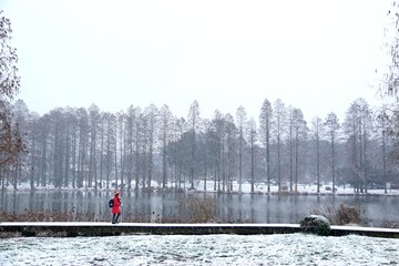 梅园雪景