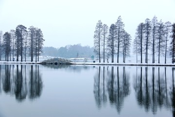 梅园雪景