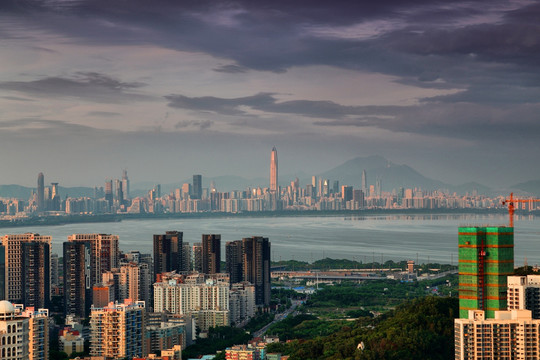 深圳湾滨海城市风光