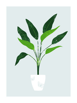 綠植裝飾畫(huà)
