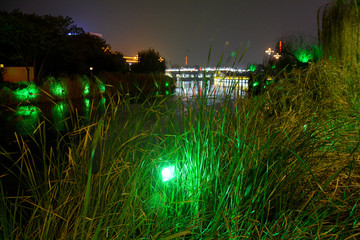 开封御河夜景