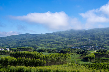 乡村风光