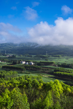 清晨风光