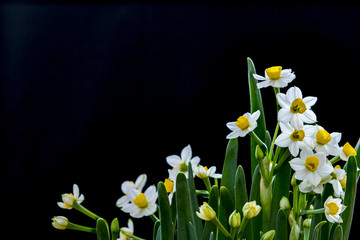 水仙花