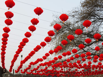 红灯笼 节日素材