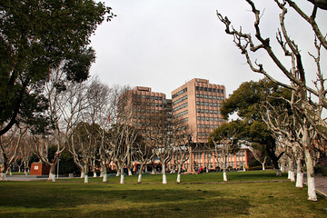 同济大学 上海知名高校