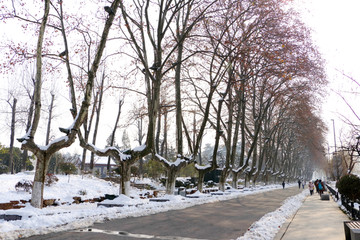 雪天道路