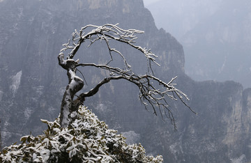 雪景