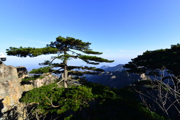 黄山图片