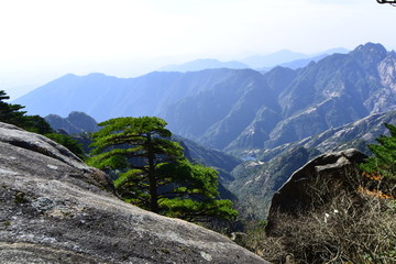 黄山