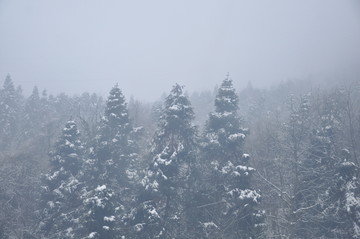 西岭雪山