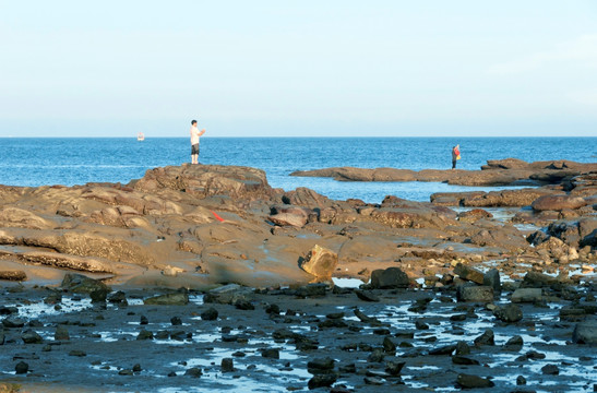 海岸石头