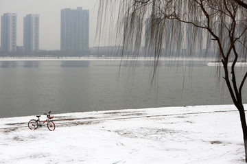 雪中的河边