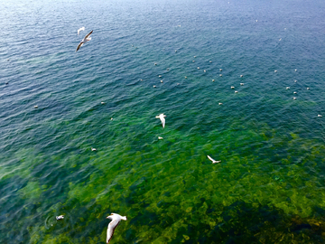 抚仙湖面