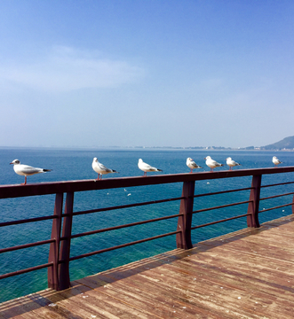 抚仙湖木栈道