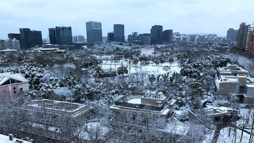 公园雪景