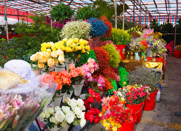 五颜六色 鲜花 花店