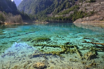 九寨沟五花海的水