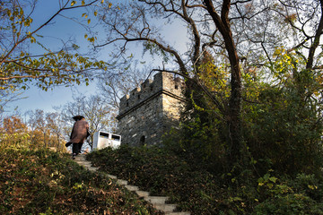 南京国防园内一景