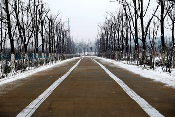 园林雪景