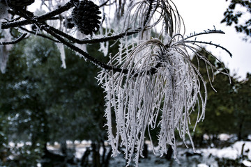 雪挂