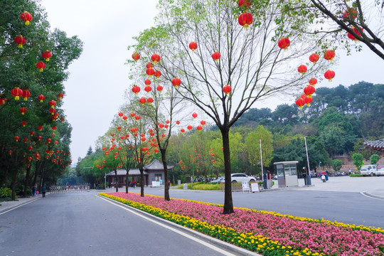 南宁人民公园花坛园艺节日气氛