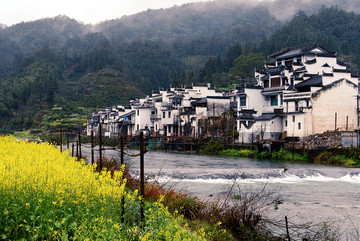 婺源古村油菜花