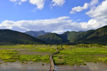 泸沽湖草海