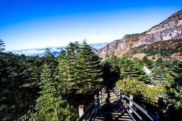 云南轿子雪山景区