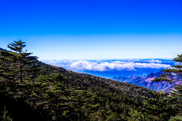 轿子雪山景区