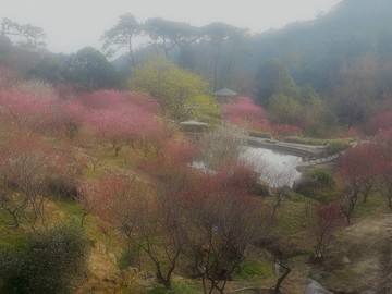 福州鼓山梅里