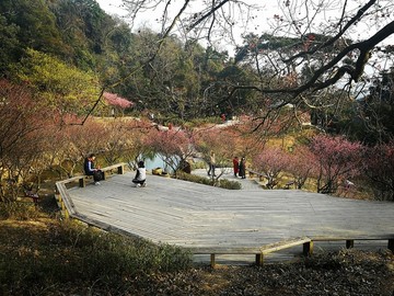 鼓山梅里