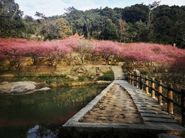 福州鼓山梅里