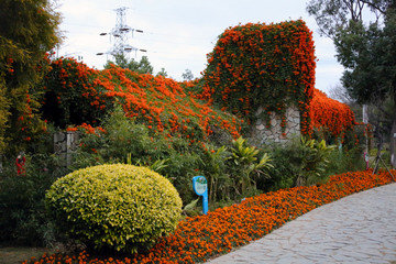 忠侖公園