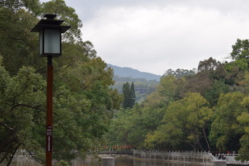 公园湖泊池塘边