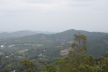 山区树林地貌