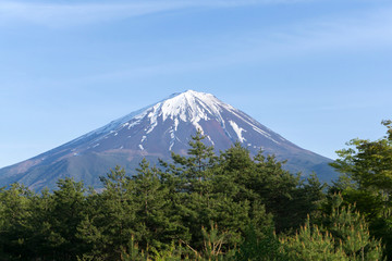 富士山