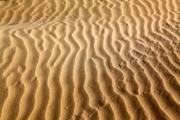 沙漠 沙子纹理 戈壁 沙
