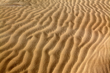 沙漠 沙子