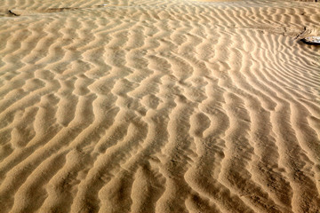 沙漠 沙