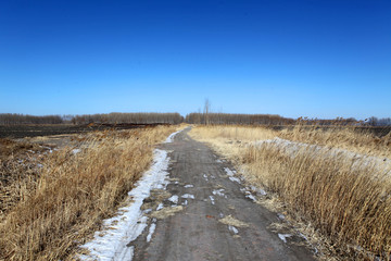 北大荒 田间路