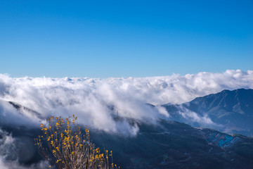 高原云海