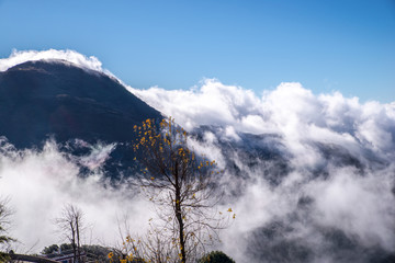 高原云海